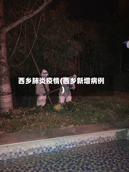 西乡肺炎疫情(西乡新增病例)-第3张图片