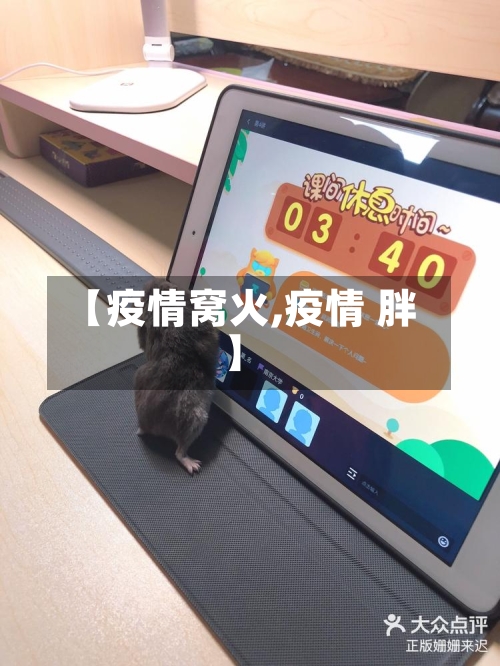 【疫情窝火,疫情 胖】-第2张图片