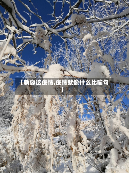 【就像这疫情,疫情就像什么比喻句】